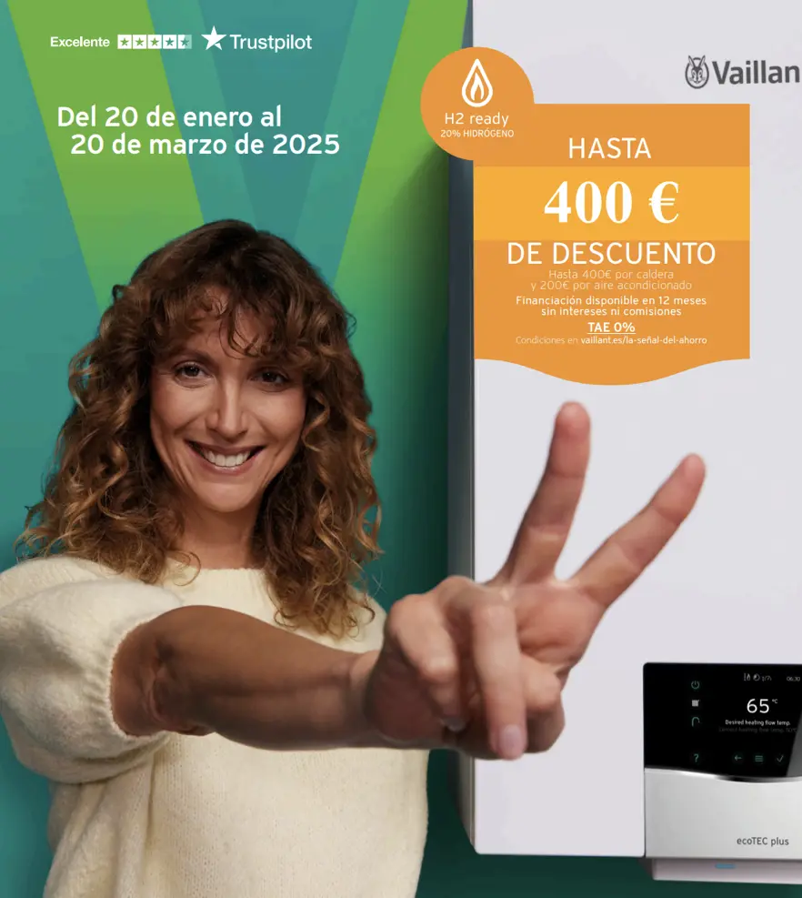 Oferta de Calderas Vaillant - ofetra de calderras vaillant Oferta de Calderas Vaillant